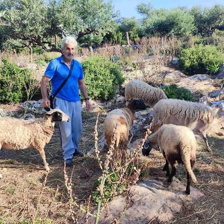 Trisilio Daire Kardamyli Dış mekan fotoğraf
