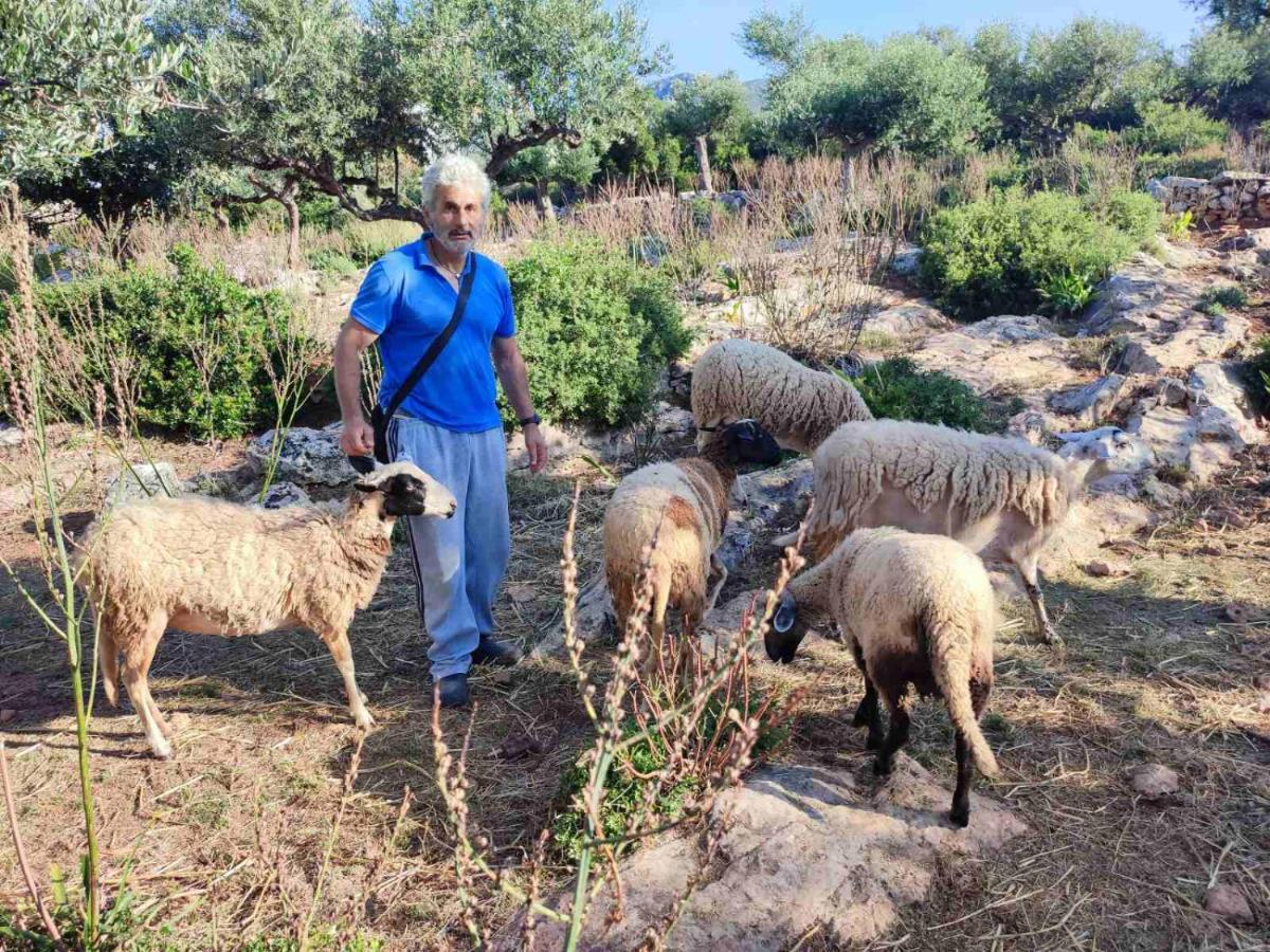 Trisilio Daire Kardamyli Dış mekan fotoğraf